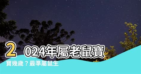 老鼠的幸運色|2024屬鼠幾歲、2024屬鼠運勢、屬鼠幸運色、財位